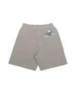 Disc Baggy Shorts Cargo