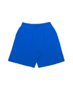 Disc Baggy Shorts Cobalt